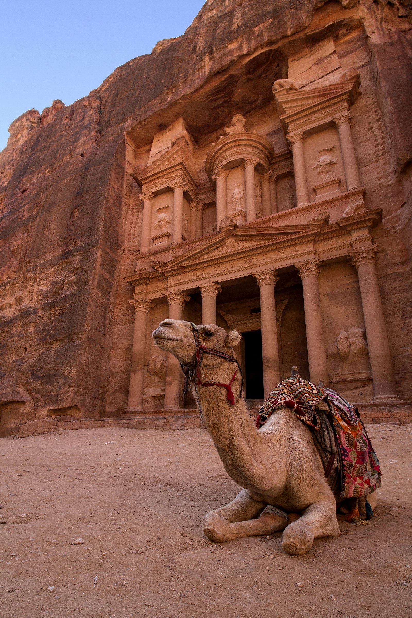 The Treasury carved into rose-red sandstone at Petra, Jordan